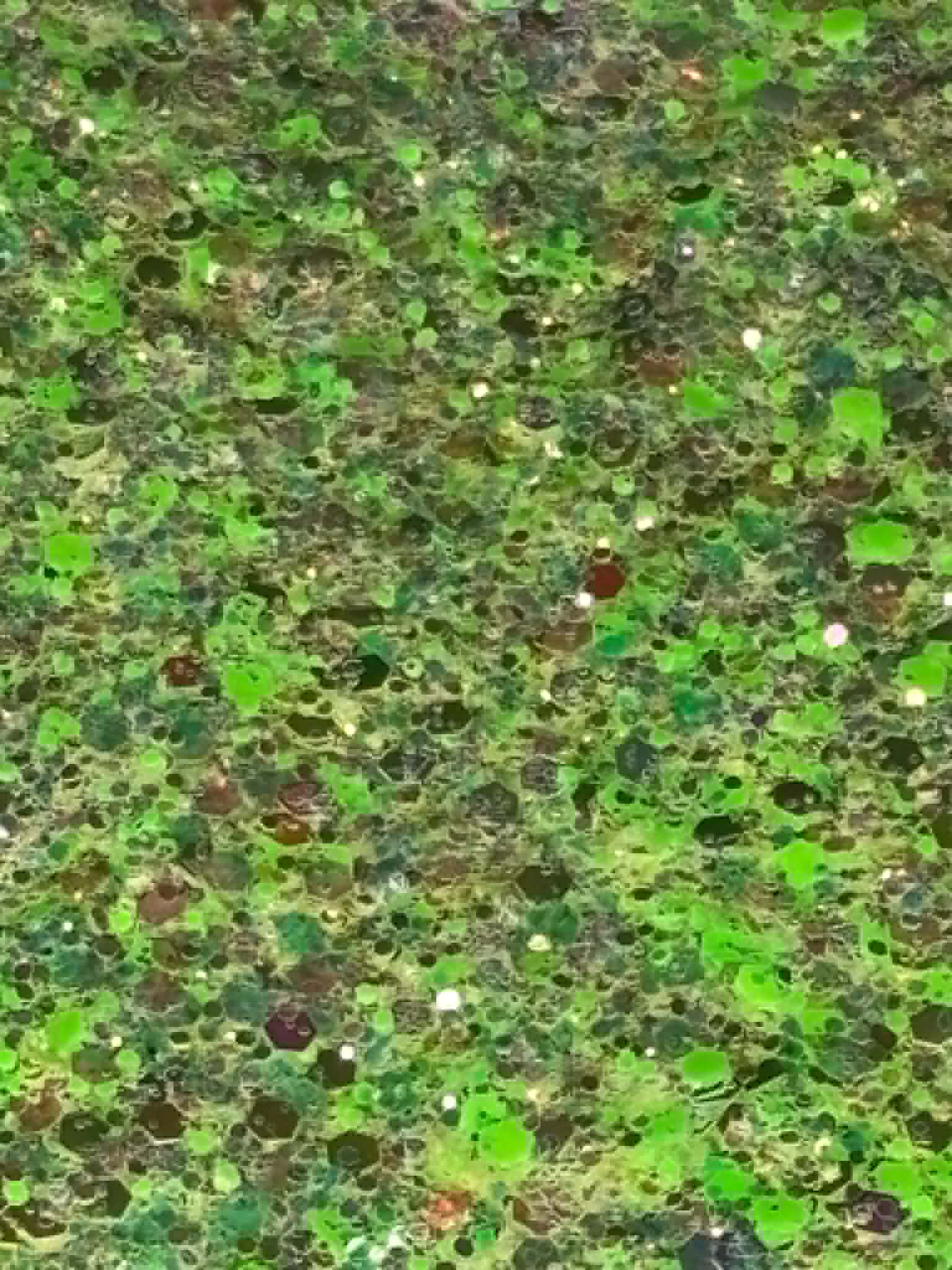 Limeaide